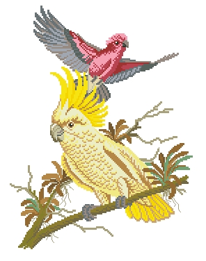 Какаду