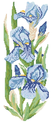 Flowers Collection. Irises
